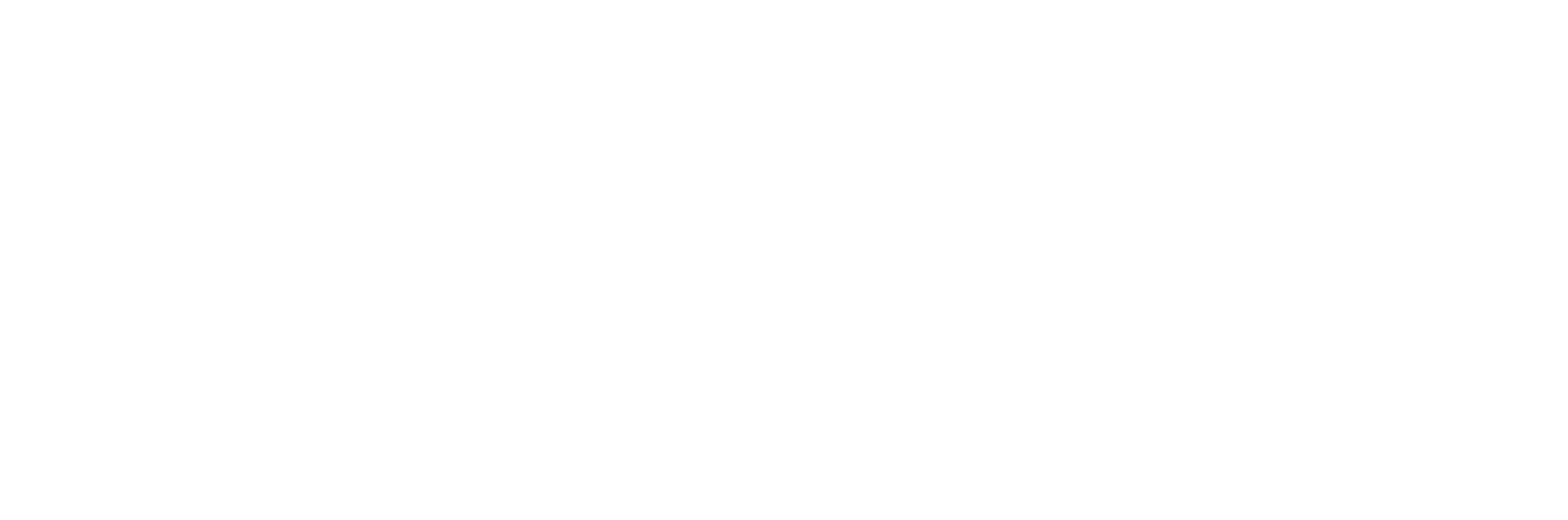 Premedica - Footer Logo